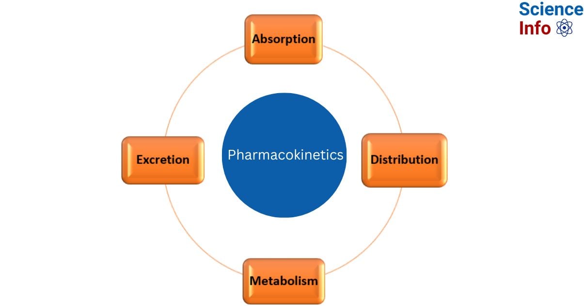 Pharmacokinetics