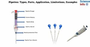 Pipettes Types, Parts, Application, Limitations, Examples