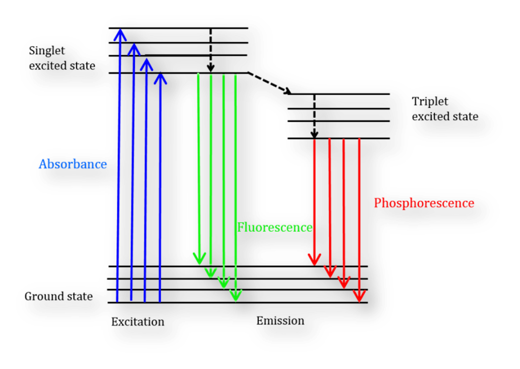 Fluorescence Spectrophotometer: Principle, Components, Application