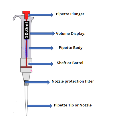 Structure of Pipette