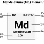 Mendelevium (Md) Element