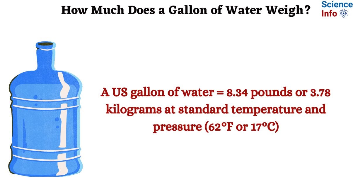 How Much Does a Gallon of Water Weigh
