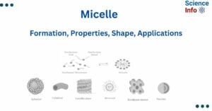 Micelle
