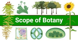 Scope of Botany