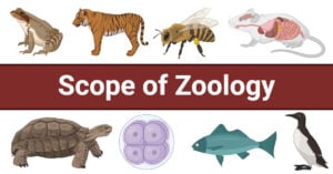 Scope of Zoology