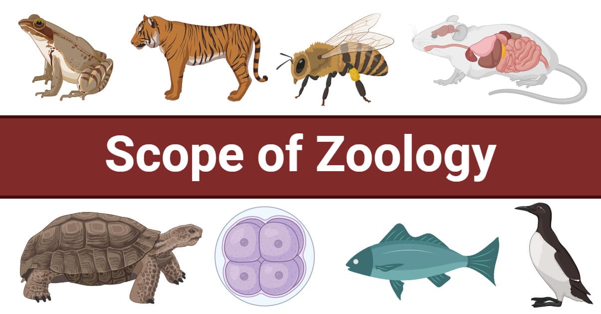 Scope of Zoology with Branches and Importance