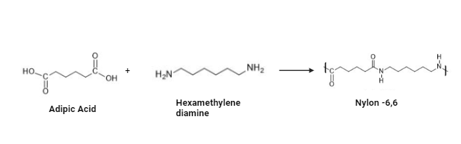 Synthesis of Nylon 6,6