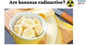 Are bananas radioactive