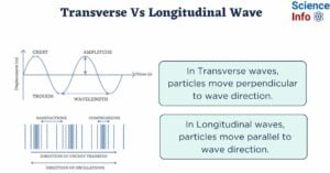 Difference Between Transverse and Longitudinal Wave