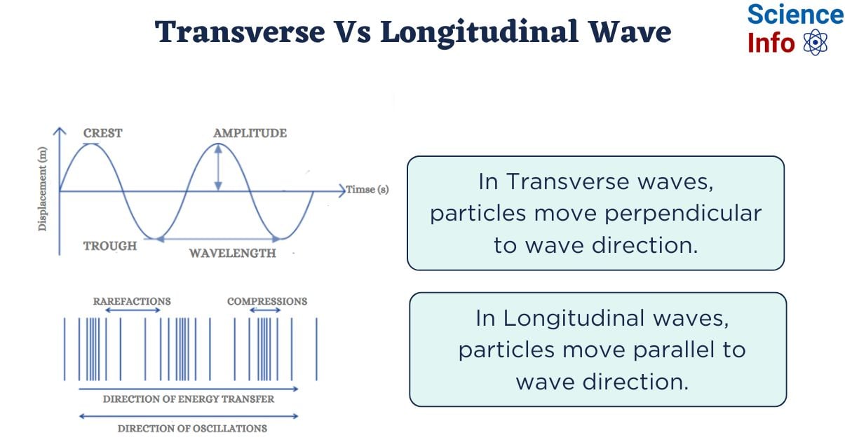Difference Between Transverse and Longitudinal Wave