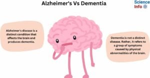 Differences Between Alzheimer's and Dementia