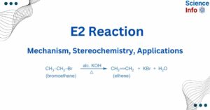 E2 Reaction
