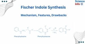 Fischer Indole Synthesis