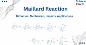 Maillard reaction