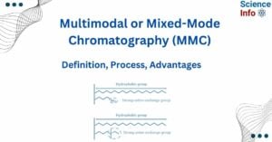 Mixed-mode chromatography 