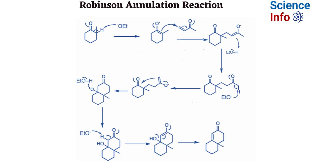Robinson annulation reaction mechanism