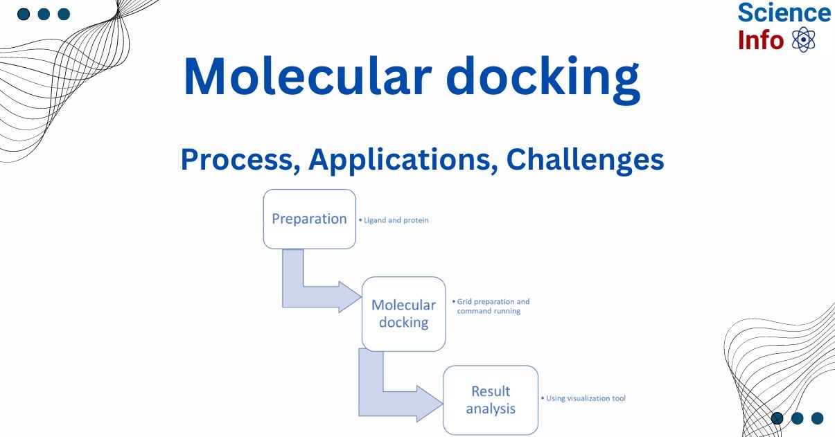 Molecular Docking 