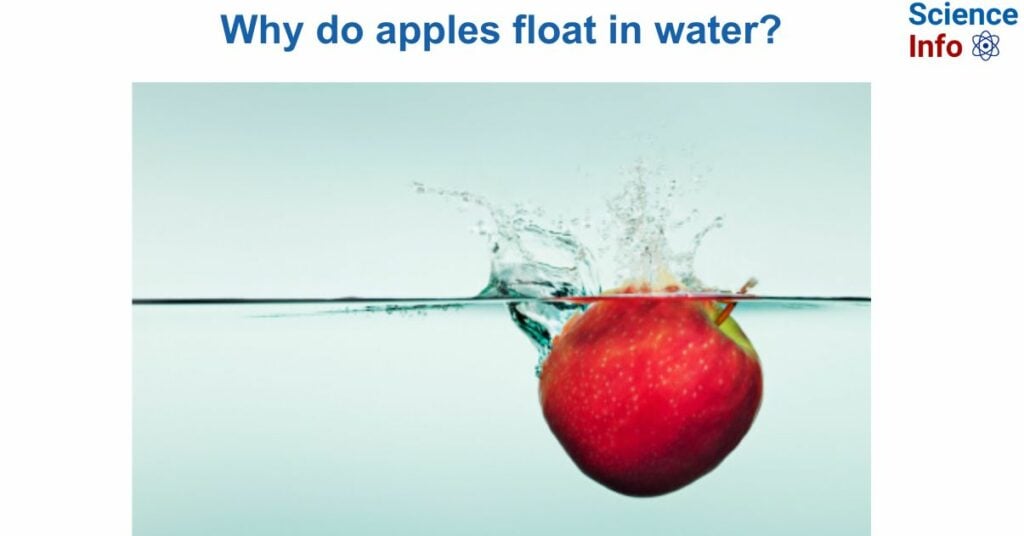 Why do apples float in water