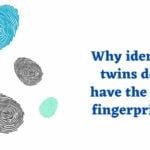 Why identical twins don’t have the same fingerprints