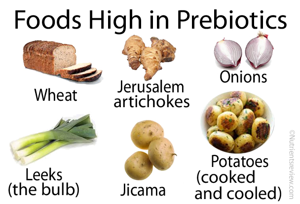 Prebiotic foods 