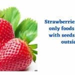 Strawberries are the only foods grown with seeds on the outside