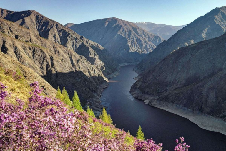Top 10 Largest Rivers in The World