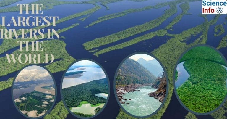 Large Navigable Rivers Top 10 Largest Rivers in The World