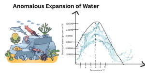 Anomalous expansion
