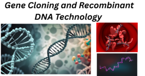 Gene Cloning and Recombinant DNA Technology