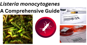 Listeria monocytogenes