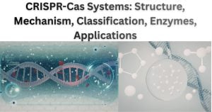 CRISPR-Cas systems