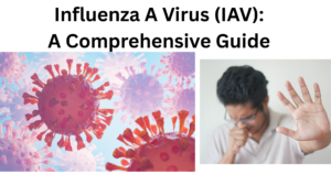 Influenza A Virus (IAV)