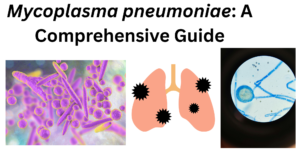 Mycoplasma pneumoniae