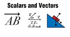 Scalars and Vectors
